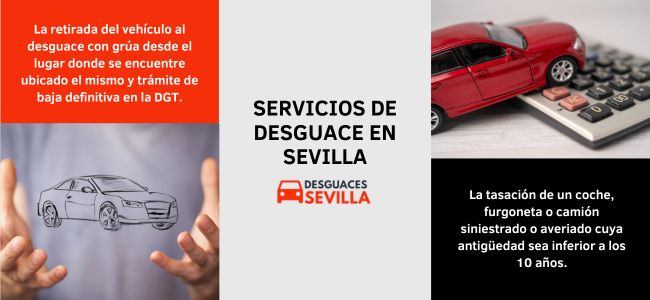 Retirada al desguace, baja en DGT y tasación de siniestros 